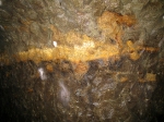 caverns 1 wall.jpg